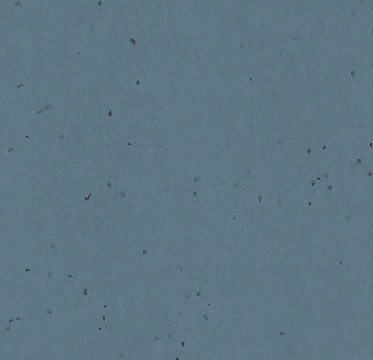 d445f67ae5618a21faa7a959a06df481