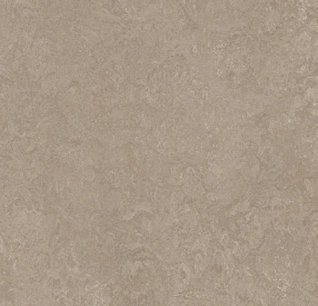 Wykładzina linoleum FORBO 325235 Sparrow Marmoleum Decibel - Rolka - 3.5  mm