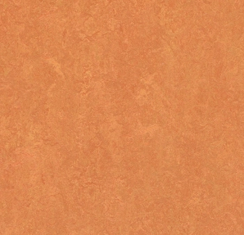 Wykładzina linoleum FORBO 3825 African desert Marmoleum Fresco - Rolka - 2.5  mm