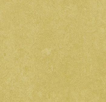 Wykładzina linoleum FORBO 3259 Mustard Marmoleum Fresco - Rolka - 2.5  mm