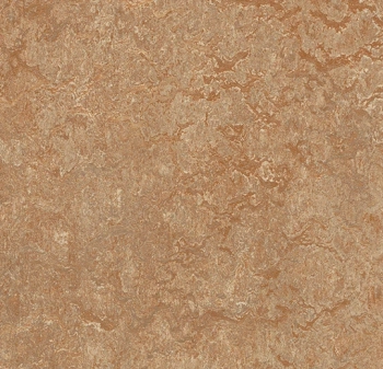 Wykładzina linoleum FORBO 3233 Shitake Marmoleum Real - Rolka - 2.5  mm