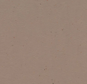 Wykładzina linoleum FORBO 3580 Milk chocolate Marmoleum Cocoa - Rolka - 2.5  mm