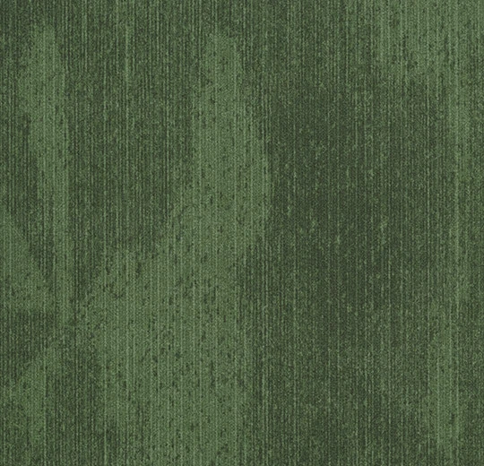 877fc0907eba36c2225eb46b02ff11a6
