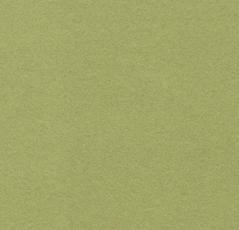 Wykładzina dywanowe FORBO 211085 Citrus Flotex Colour Obwódki I Bordery - Rolka - 4.3  mm
