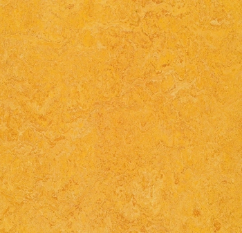 Wykładzina linoleum FORBO 3225 Dandelion Marmoleum Real - Rolka - 2.5  mm