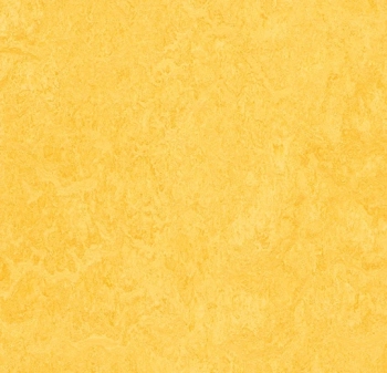 Wykładzina linoleum FORBO 3251 Lemon zest Marmoleum Fresco - Rolka - 2.5  mm