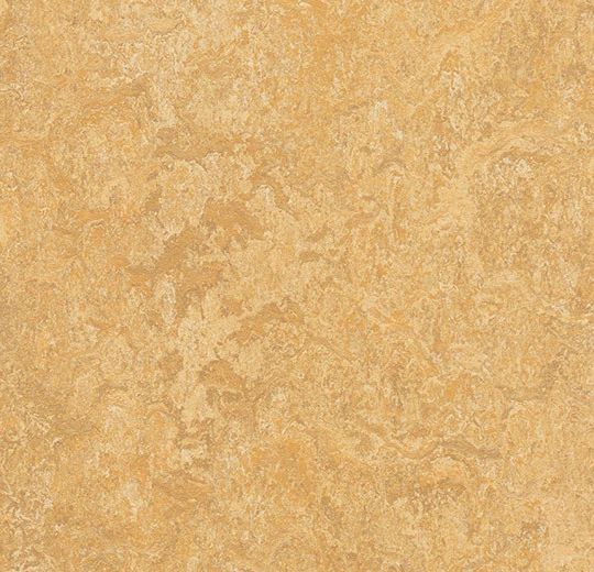 c51437a2b7b025da300b87428ba1c732