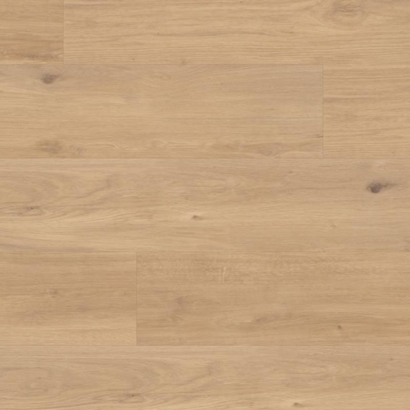Designflooring RKP8117 Canadian Nude  Oak Korlok Deska - 21 dB Panele winylowe
