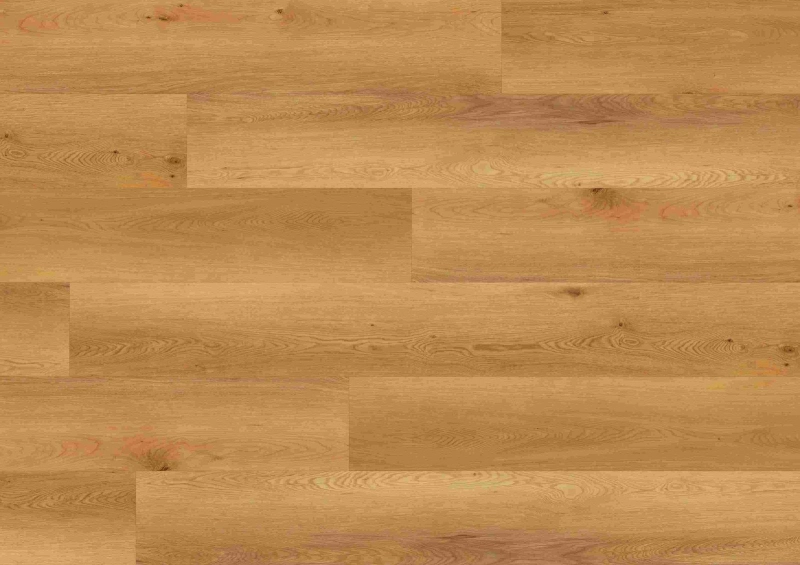 071843fc1345ed5129c2debccb3b7b25