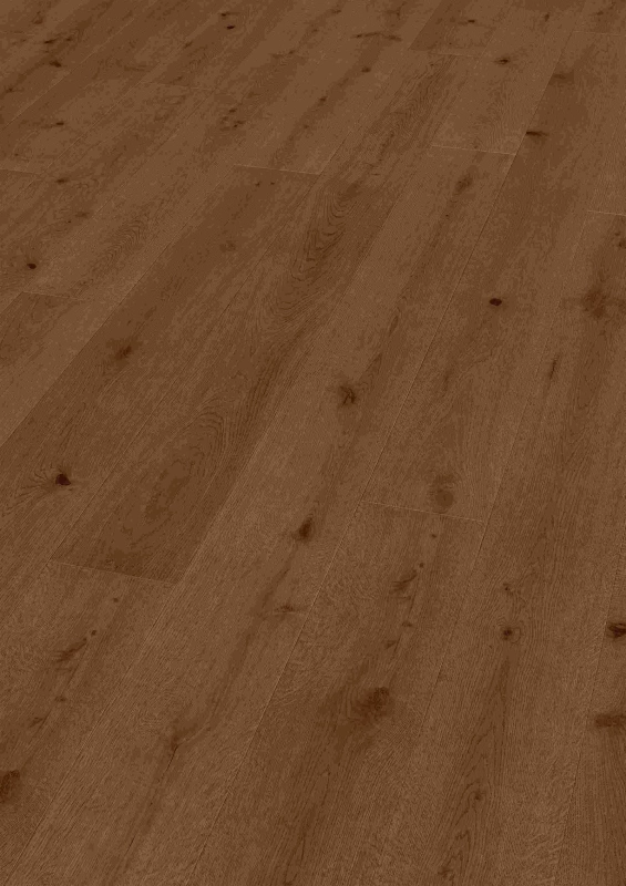 c9053f0c7909043523182688832aec02