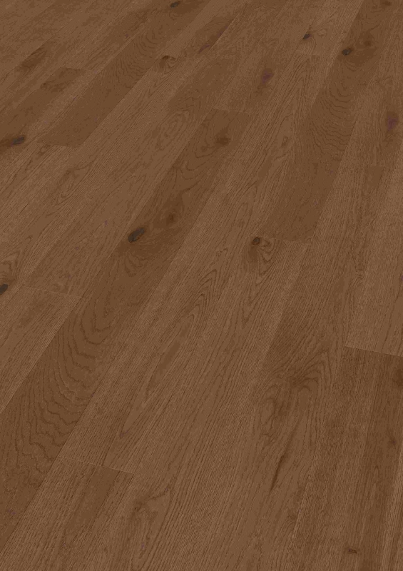 df0d76706e2c23c3a7006649dca11493