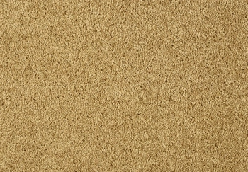 Wykładzina dywanowa SmartStrand ZEO.0371 Lounge 10 mm - Rolka 5m