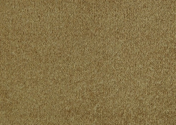 Wykładzina dywanowa SmartStrand UTO.0370 Patina 10 mm - Rolka 4m