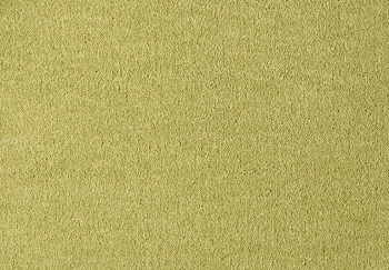 Wykładzina dywanowa SmartStrand UIO.0541 Dream 9.5 mm - Rolka 4m