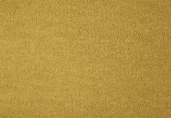 Wykładzina dywanowa SmartStrand UIO.0371 Dream 9.5 mm - Rolka 4m