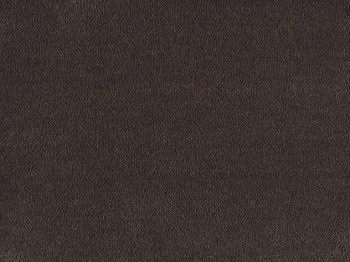 Wykładzina dywanowa SmartStrand SOK.0290 Sofia 9.5 mm - Rolka 4m
