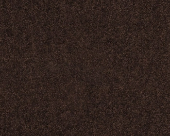 Wykładzina dywanowa SmartStrand ZEO.0283 Lounge 10 mm - Rolka 5m