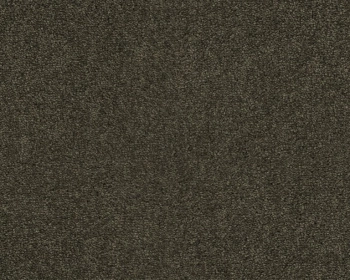 Wykładzina dywanowa SmartStrand ZEO.0493 Lounge 10 mm - Rolka 5m
