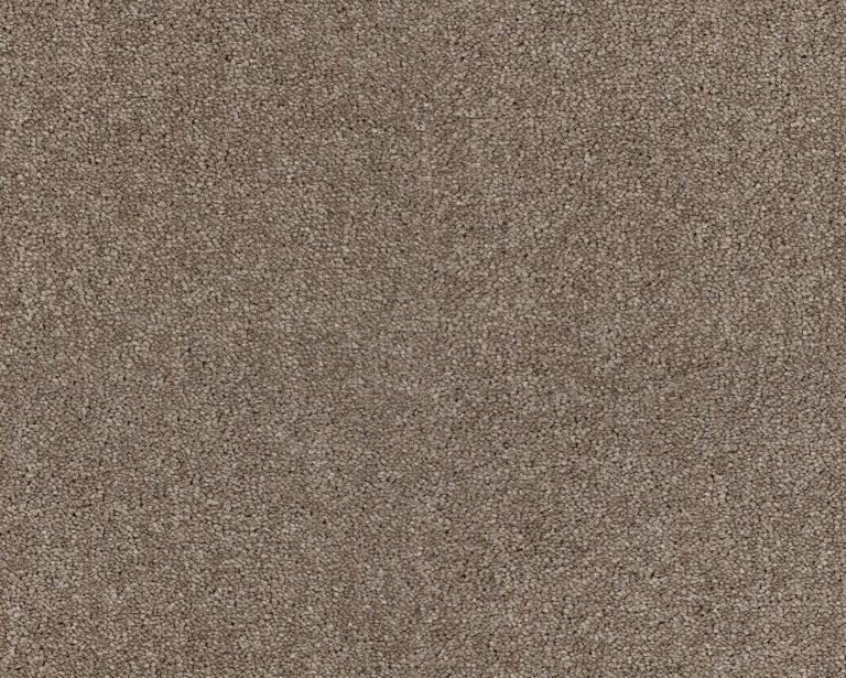 2e620c1fb58fe747911124f68f62d22d