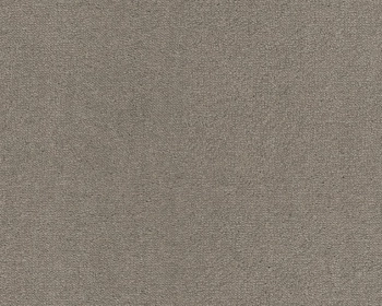 Wykładzina dywanowa SmartStrand UIO.0263 Dream 9.5 mm - Rolka 4m