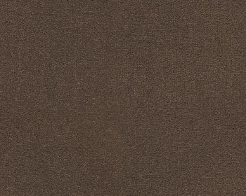 Wykładzina dywanowa SmartStrand UIO.0413 Dream 9.5 mm - Rolka 4m