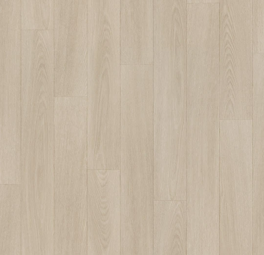 226579_8380P43C.webp