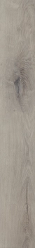 Panele winylowe Invictus Primus Dryback Royal Oak Dove 178 x 1219 mm 2.00 mm