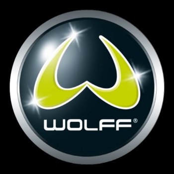 Wolff Wałek szlifierski do Pythona