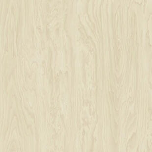Wykładzina PVC Tarkett™ 206012039 Acczent Excellence Compact+ Plywood Natural - Nowość - Rolka
