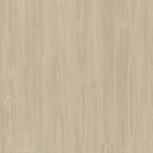Wykładzina PVC Tarkett™ 206012084 Acczent Excellence Compact+ Variant Oak Plank Beige - Nowość - Rolka