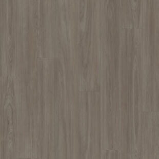 Wykładzina PVC Tarkett™ 206012085 Acczent Excellence Compact+ Variant Oak Plank Brown Grey - Nowość - Rolka