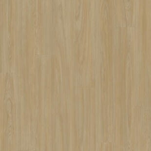 Wykładzina PVC Tarkett™ 206012086 Acczent Excellence Compact+ Variant Oak Plank Golden - Nowość - Rolka